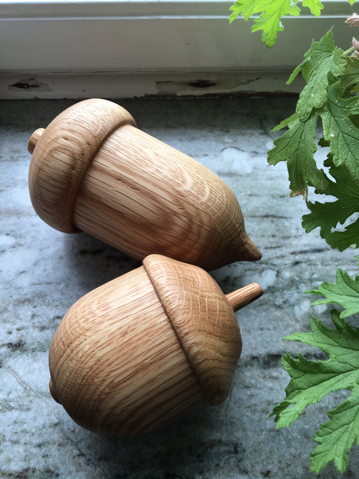 Två svarvade ekollon i massiv ek som dekorativa objekt